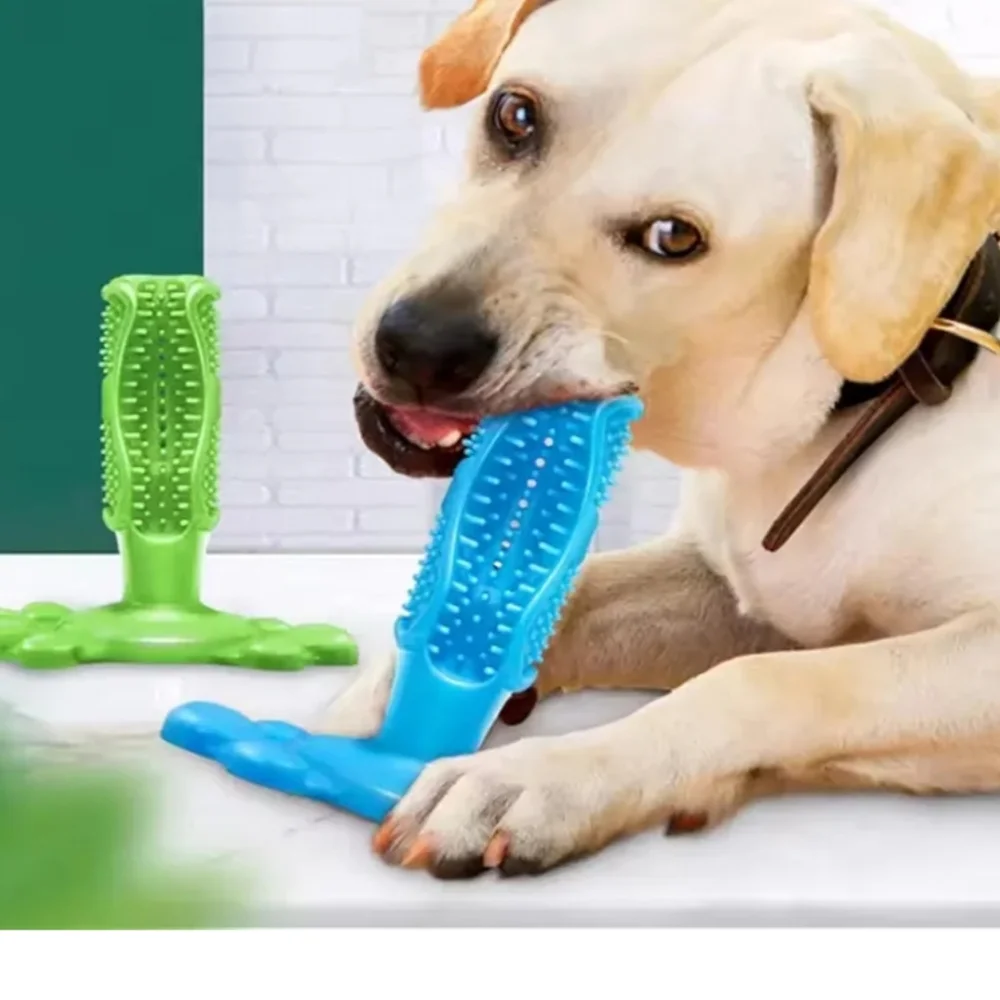 NWT 4 Piece Dog Toy Set